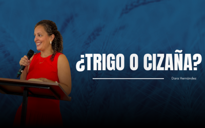 ¿Trigo o cizaña?