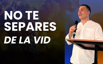 Permaneced en la vid